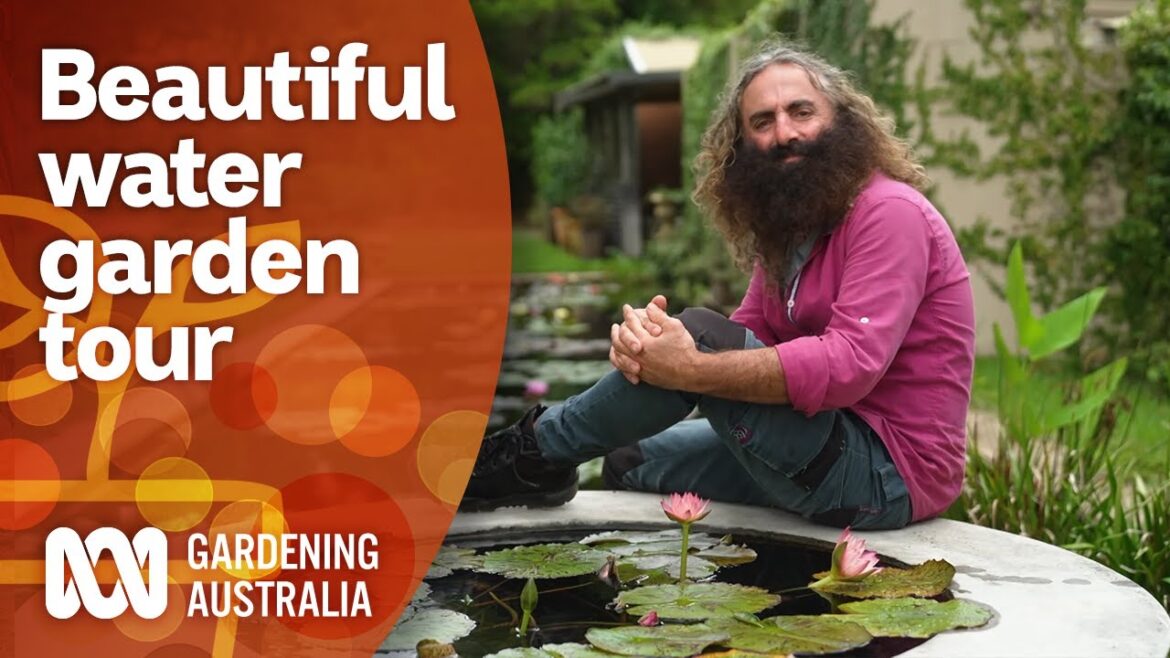 Touring stunning Monet-style water gardens | Garden Design and Inspiration | Gardening Australia Touring stunning Monet-style water gardens | Garden Design and Inspiration | Gardening Australia