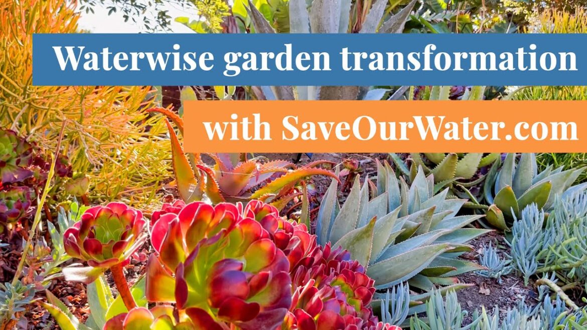 Water wise garden transformation with SaveOurWater.com