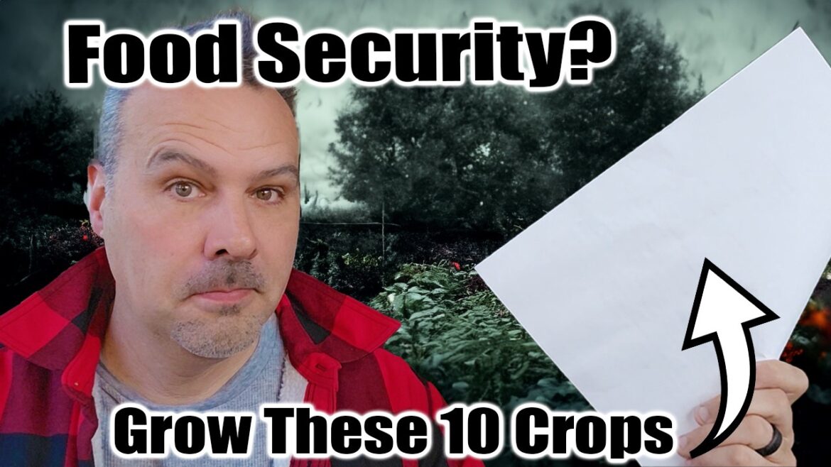 California Garden TV: 10 Crops to Feed Your Family in Hard Times // Self Sufficient Sunday #1 10 Crops to Feed Your Family in Hard Times // Self Sufficient Sunday #1