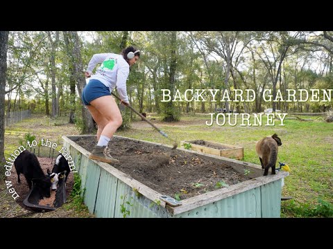 MY BACKYARD GARDEN JOURNEY | starting from seeds, cleaning garden bed, new cows, two month journey MY BACKYARD GARDEN JOURNEY | starting from seeds, cleaning garden bed, new cows, two month journey
