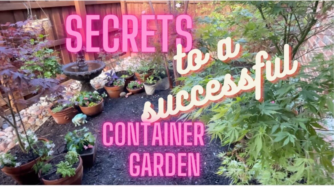 Potting up our container gardening…secrets to success! #northtexasgardening #zone8b Potting up our container gardening...secrets to success! #northtexasgardening #zone8b