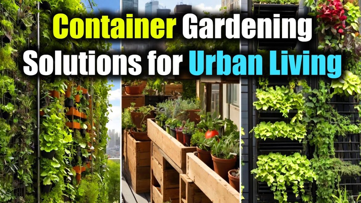 Container Gardening Ideas for Urban Dwellers | Container Gardening Solutions for Urban Living