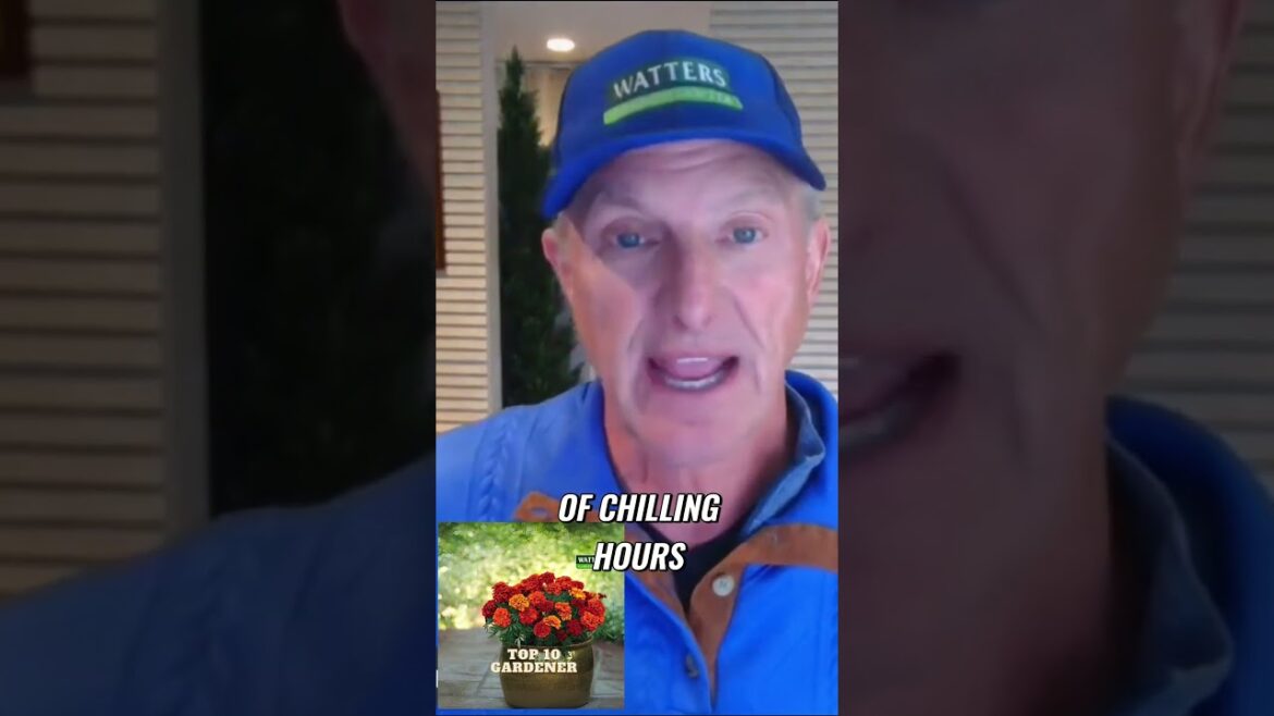 Unlocking the Secrets to Successful Fruit Tree Cultivation