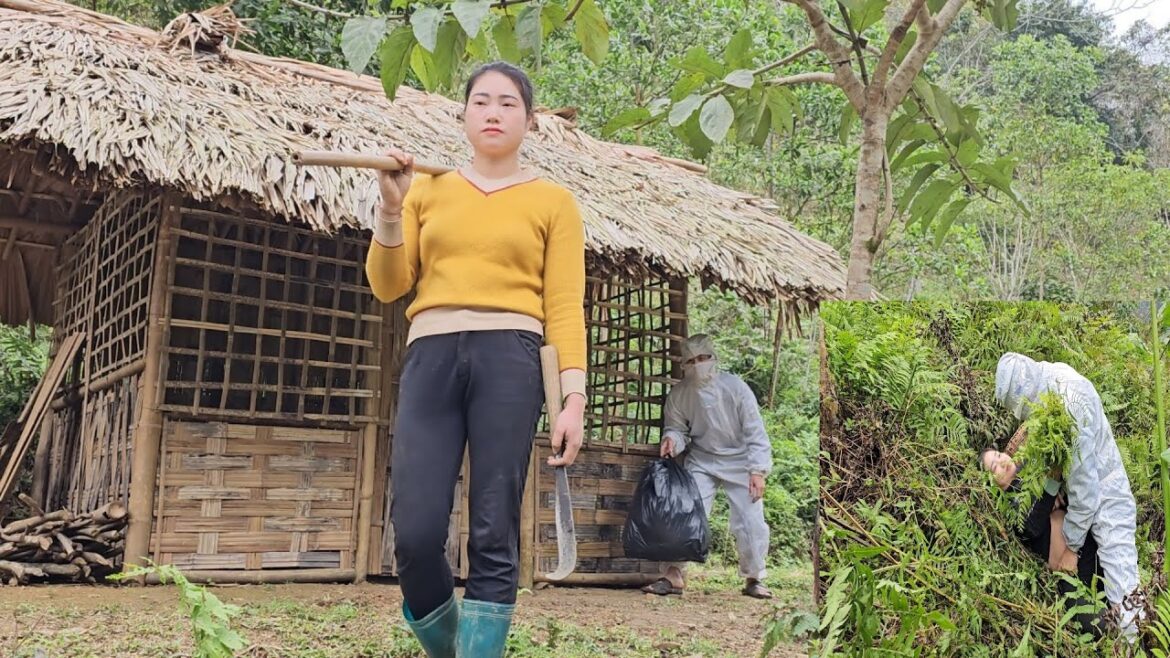 Vegetable gardening process, strangers help  _  nguyễn thị sĩ