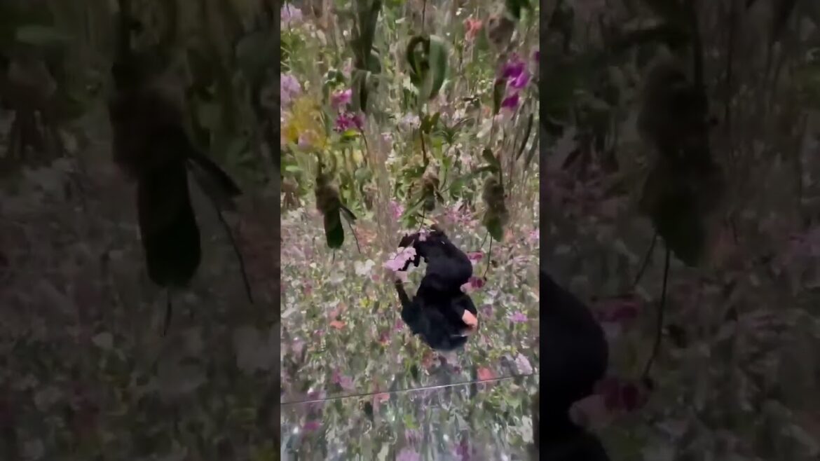 Finding An Answer At The Floating Flower Garden In Japan Finding An Answer At The Floating Flower Garden In Japan