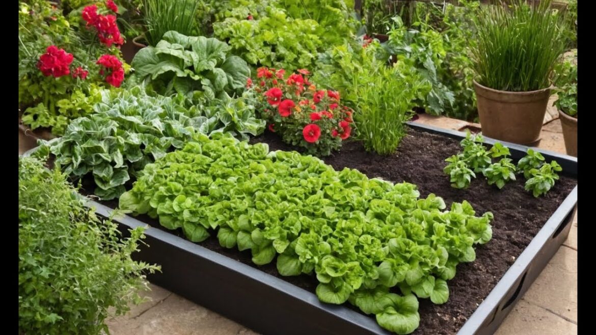 Container Gardening with Organic Methods