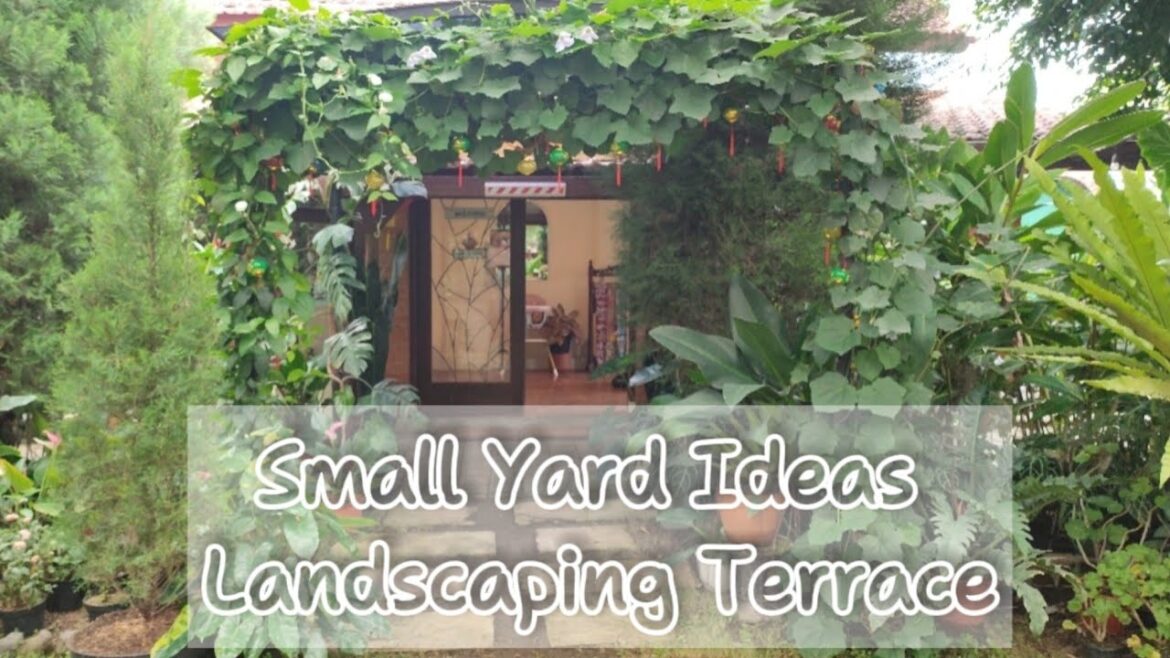 Landscaping Idea for Front of House || Terrace Garden Outdoor and Indoor || No grass