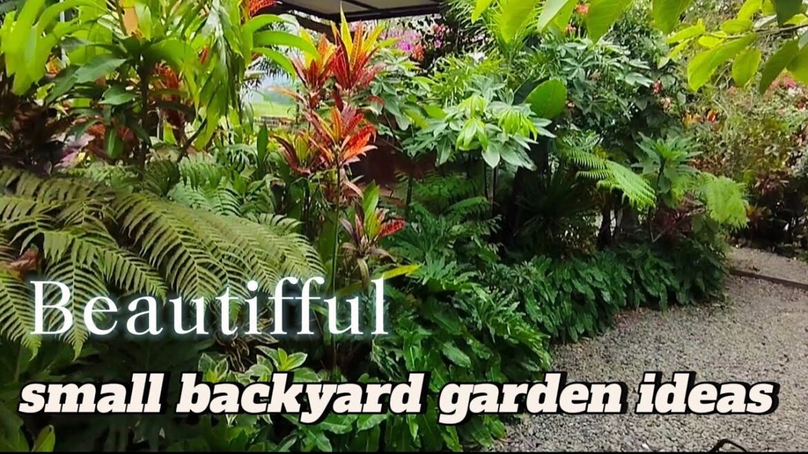 small tropical backyard garden design ideas || create a paradise garden in your backyard small tropical backyard garden design ideas || create a paradise garden in your backyard