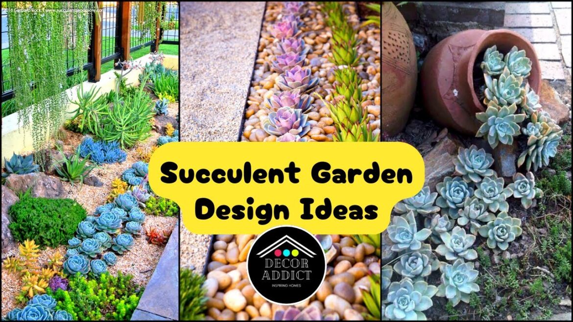 Succulent Garden Design Ideas ! Create Outdoor Succulent Gardens Succulent Garden Design Ideas ! Create Outdoor Succulent Gardens