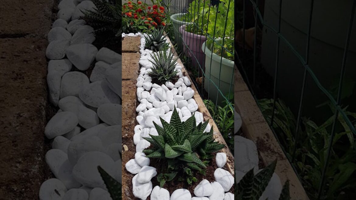 Simple Back Garden Ideas That Are Cheap & Low Maintenance #shorts #garden #landscapedesign