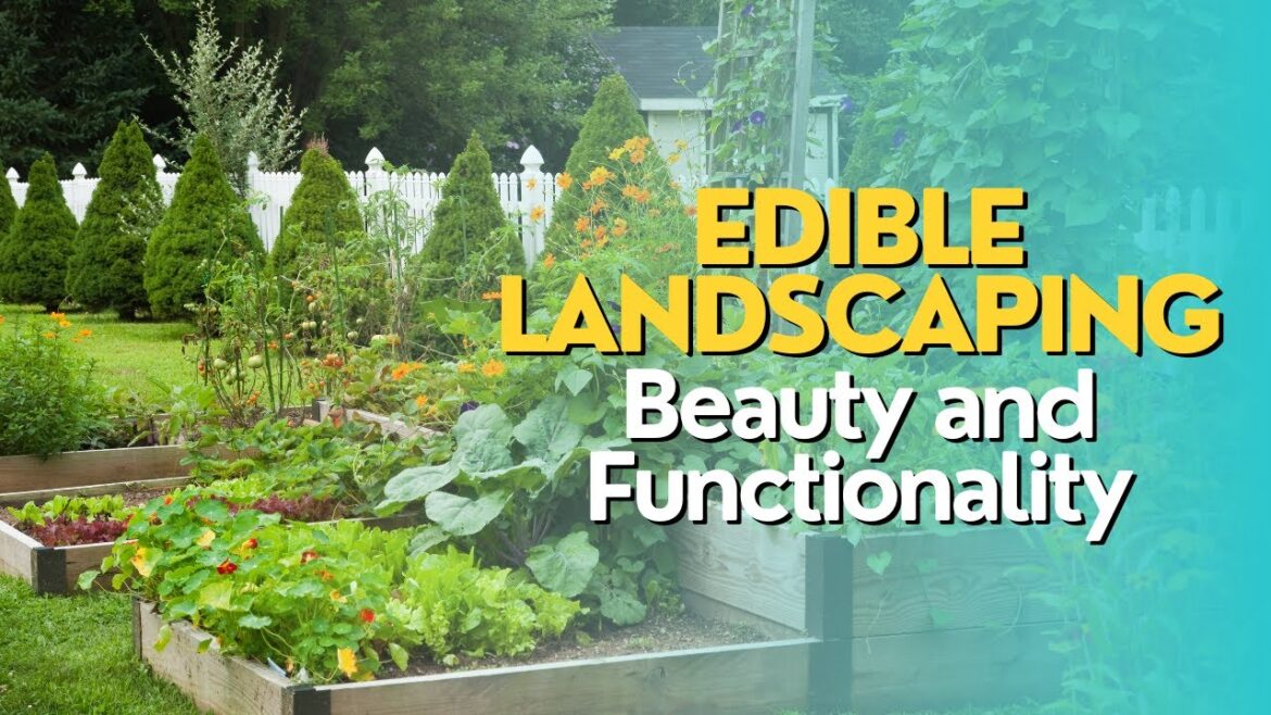 Edible Landscaping: Beauty and Functionality