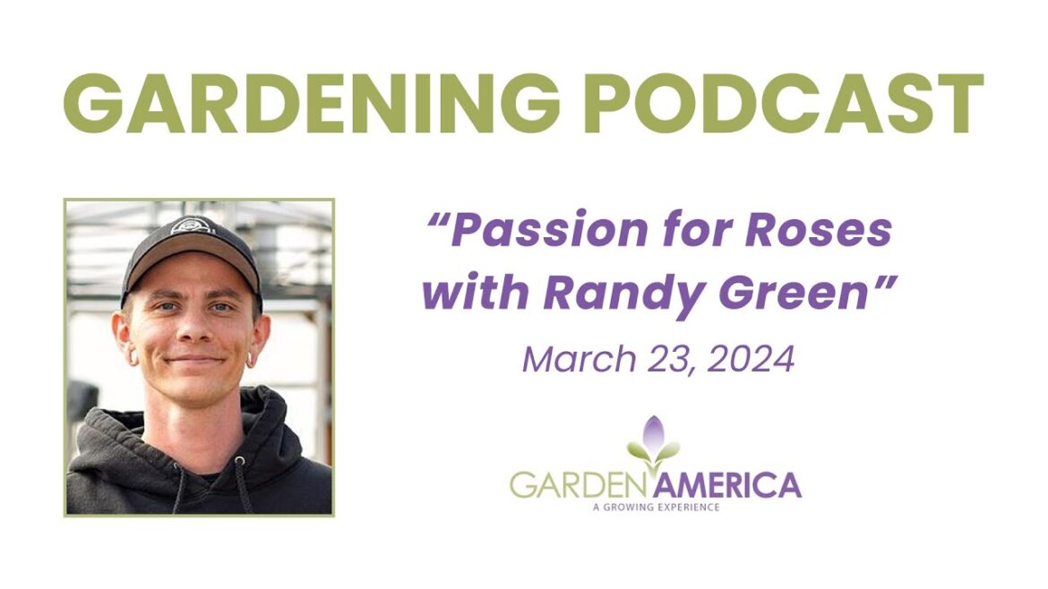 Passion for Roses with Randy Green – Garden America Podcast & Radio Show Passion for Roses with Randy Green - Garden America Podcast & Radio Show