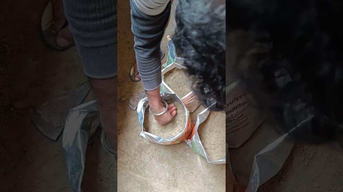 Vegetable Grow At Home#shorts