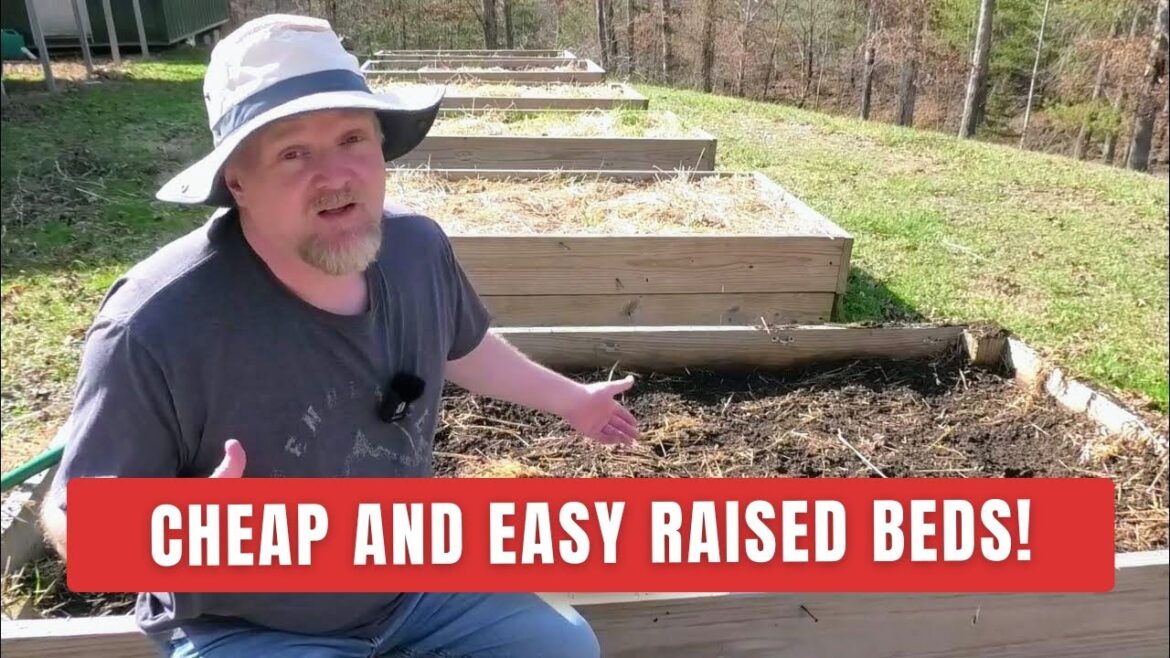 How To Fill Raised Garden Beds Cheaply! 🌱 Save BIG.