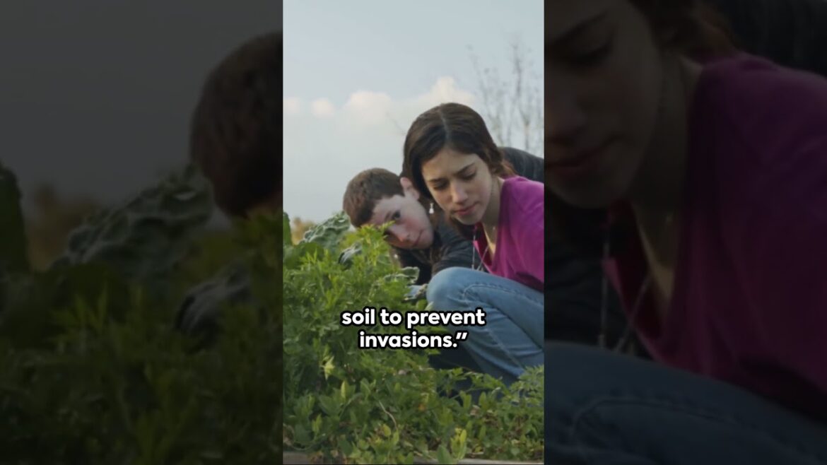 Garden Guardian Guide: Nature’s Arsenal Against Pests #preparednesssurvival #gardening #shorts Garden Guardian Guide: Nature's Arsenal Against Pests #preparednesssurvival #gardening #shorts