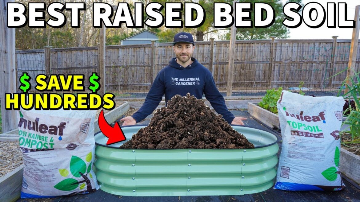 Stop WASTING MONEY Filling Raised Beds! Fill Them Like This. Stop WASTING MONEY Filling Raised Beds! Fill Them Like This.