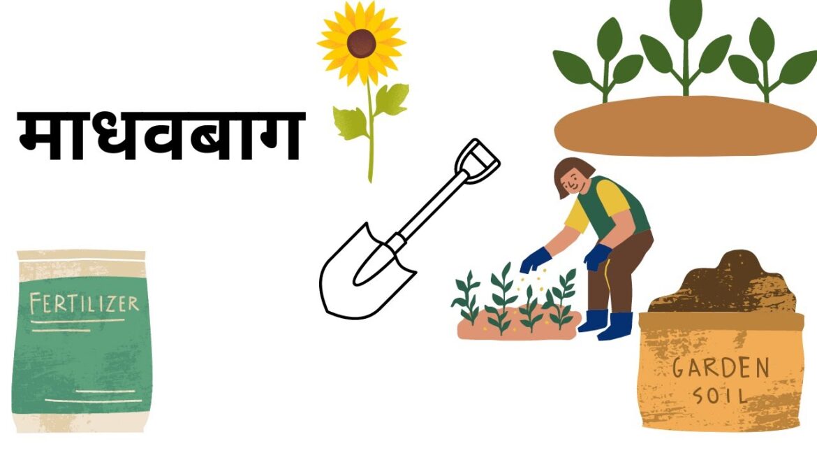 Sweet Home | Beautiful Garden | House Garden Design| Nagnath More