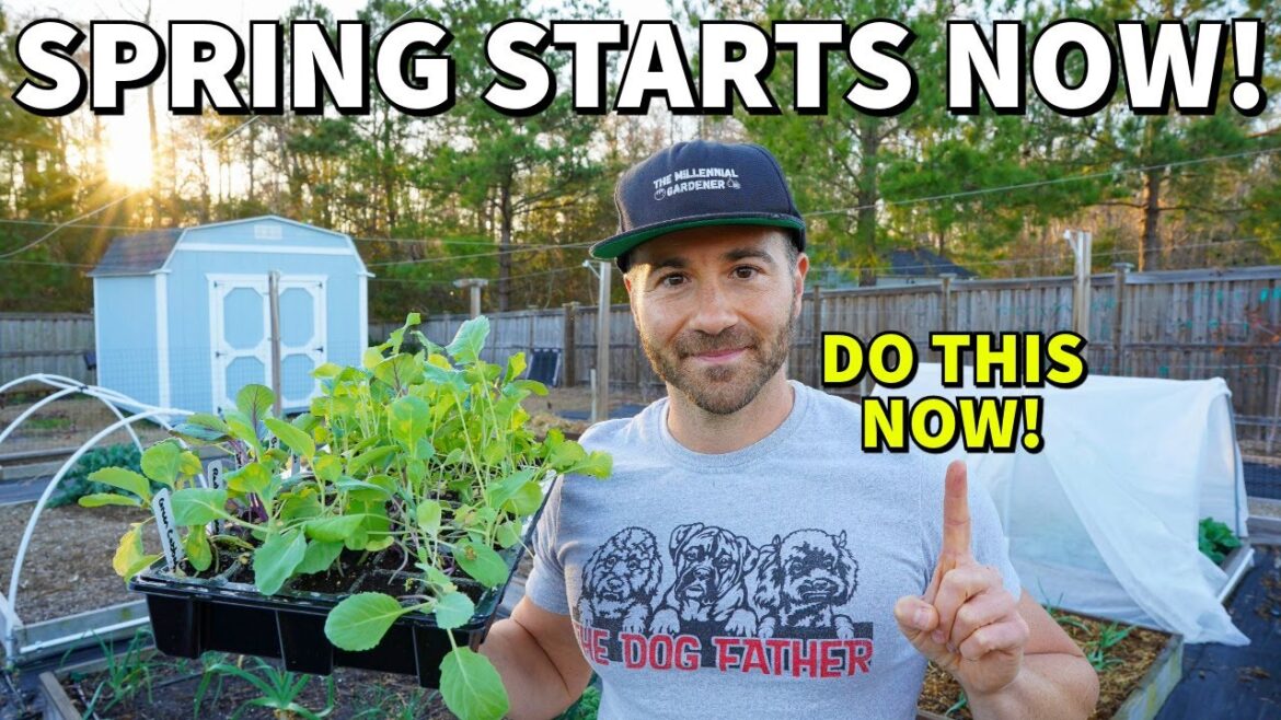 Why FEBRUARY Is The MOST IMPORTANT Month In Gardening: Start NOW! Why FEBRUARY Is The MOST IMPORTANT Month In Gardening: Start NOW!