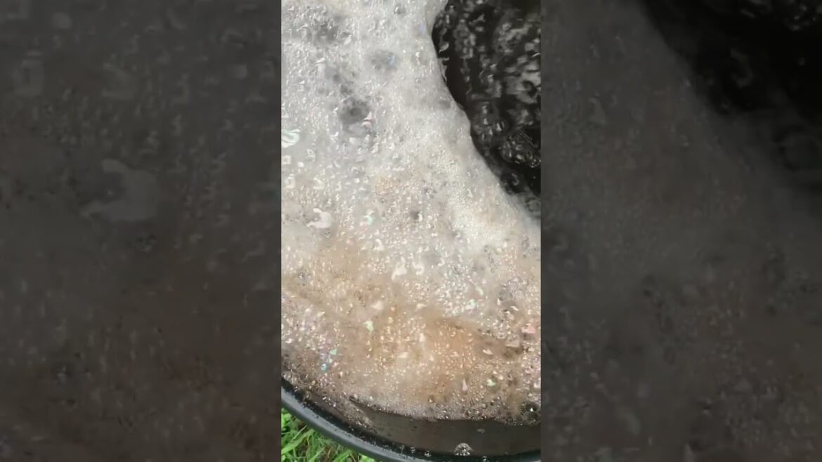 Make Compost Tea Foam Every time #gardening #garden