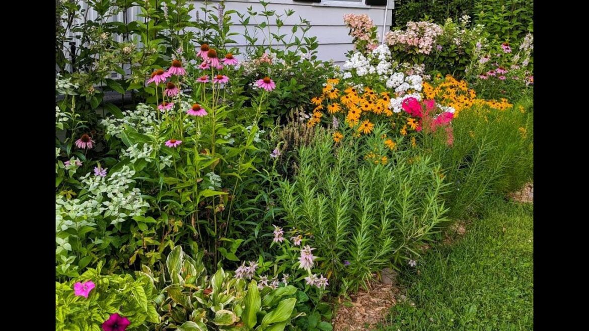 Native Plant Garden Design Native Plant Garden Design