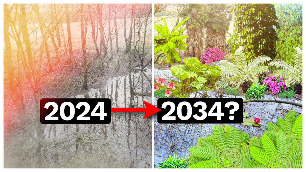 Transforming a Quarry into a Lush Tropical Paradise: Mark’s Epic Garden Project! Transforming a Quarry into a Lush Tropical Paradise: Mark's Epic Garden Project!