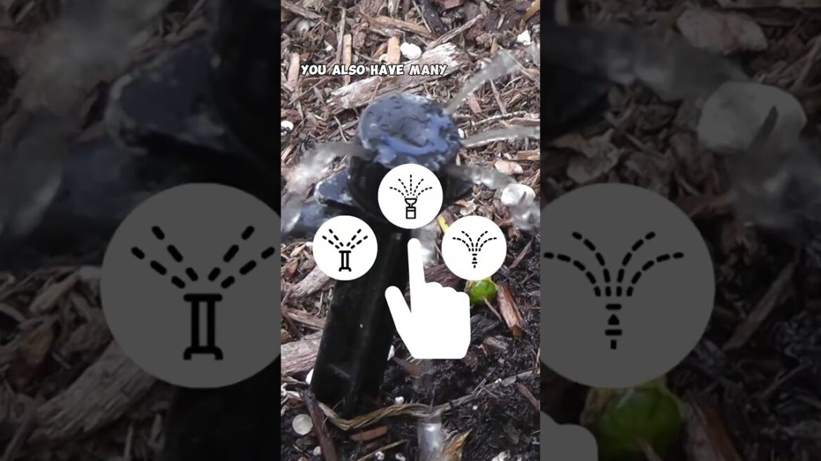 California Gardening: Raised Bed Gardening: Watering & Irrigation Tips! Part 3 🌱💧 #Shorts Raised Bed Gardening: Watering & Irrigation Tips! Part 3 🌱💧 #Shorts