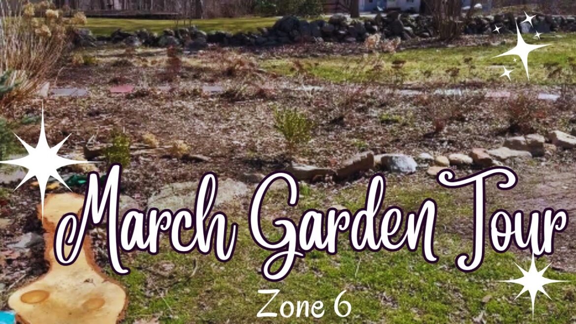 Cottage Garden Tour and Plans, March 2024 Front Yard Garden ~Zone 6 Garden Vlog~ Cottage Garden Tour and Plans, March 2024 Front Yard Garden ~Zone 6 Garden Vlog~