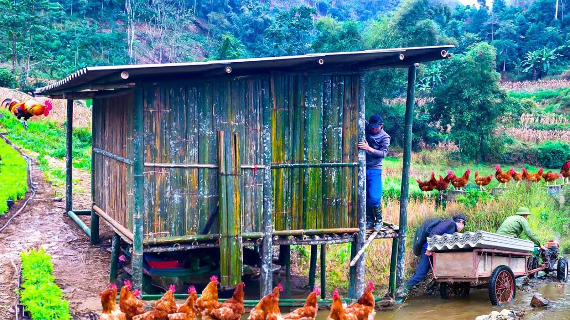 100 Day Building New Life, Make Chicken Coop, Vegetable gardening, Building a farm in the forest