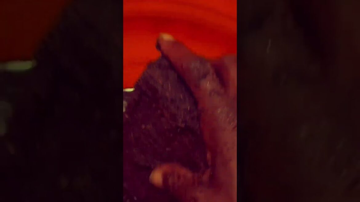 How to prep Coconut Coir #gardening #garden