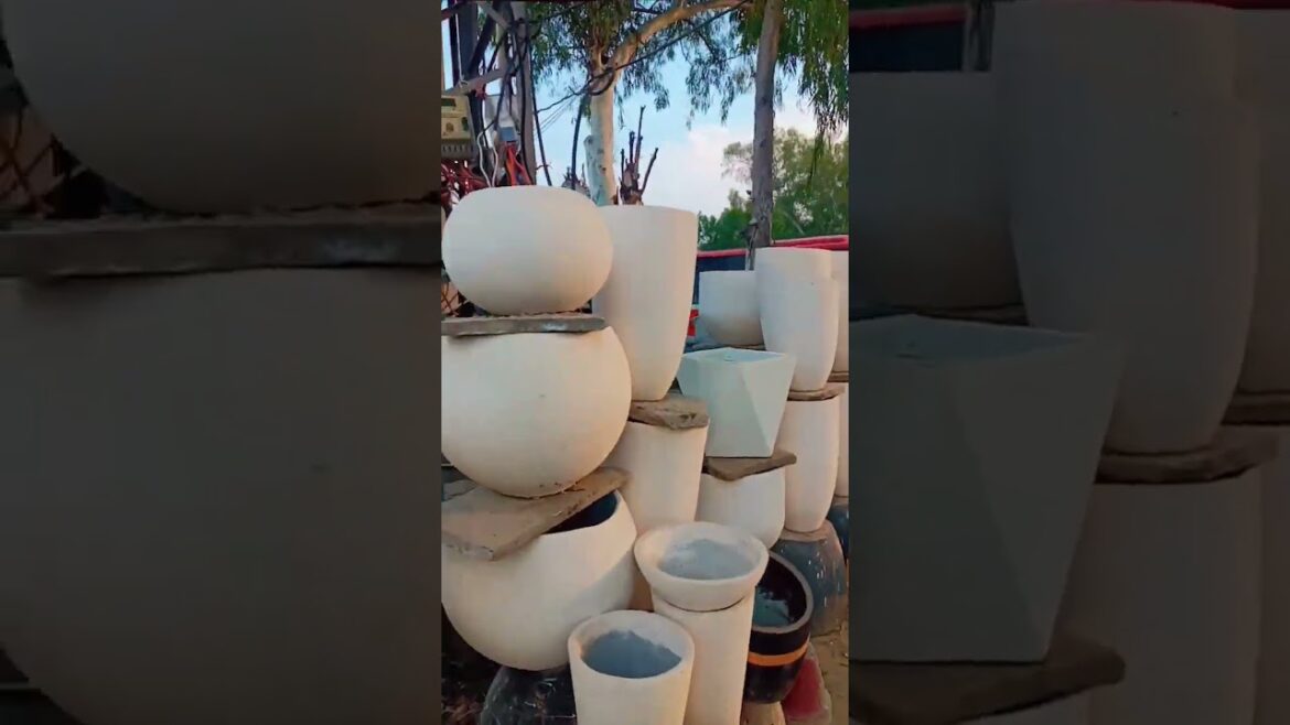 Viral#plant#pot #planter and stone work idea garden ЁЯк┤ЁЯПб landscaping idea for Ahmad Hassan 03004592737 Viral#plant#pot #planter and stone work idea garden ЁЯк┤ЁЯПб landscaping idea for Ahmad Hassan 03004592737