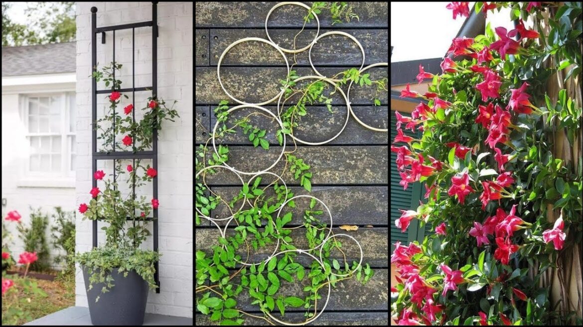 100 Inspiring Diy Garden Trellis Plans Designs Ideas | Trellis Plans Designs Ideas #trellis #garden