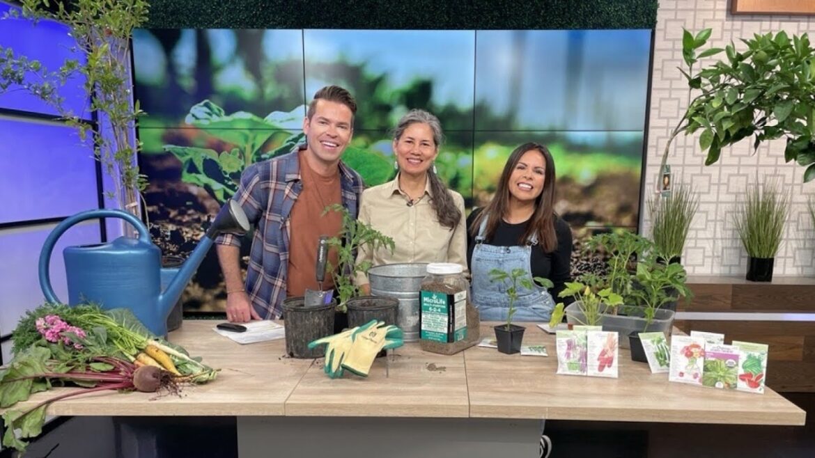 Prepare your edible Spring garden with these tips from Urban Harvest