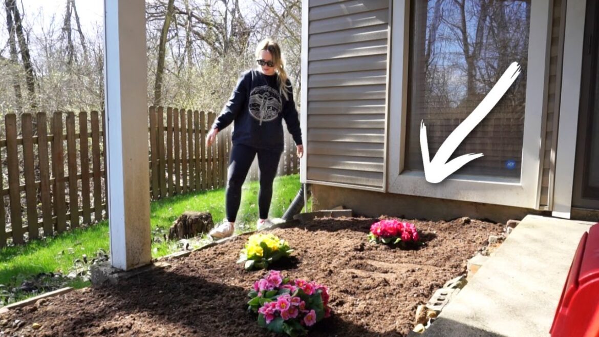 STARTING A GARDEN! BIG PLANS FOR OUR BACKYARD!