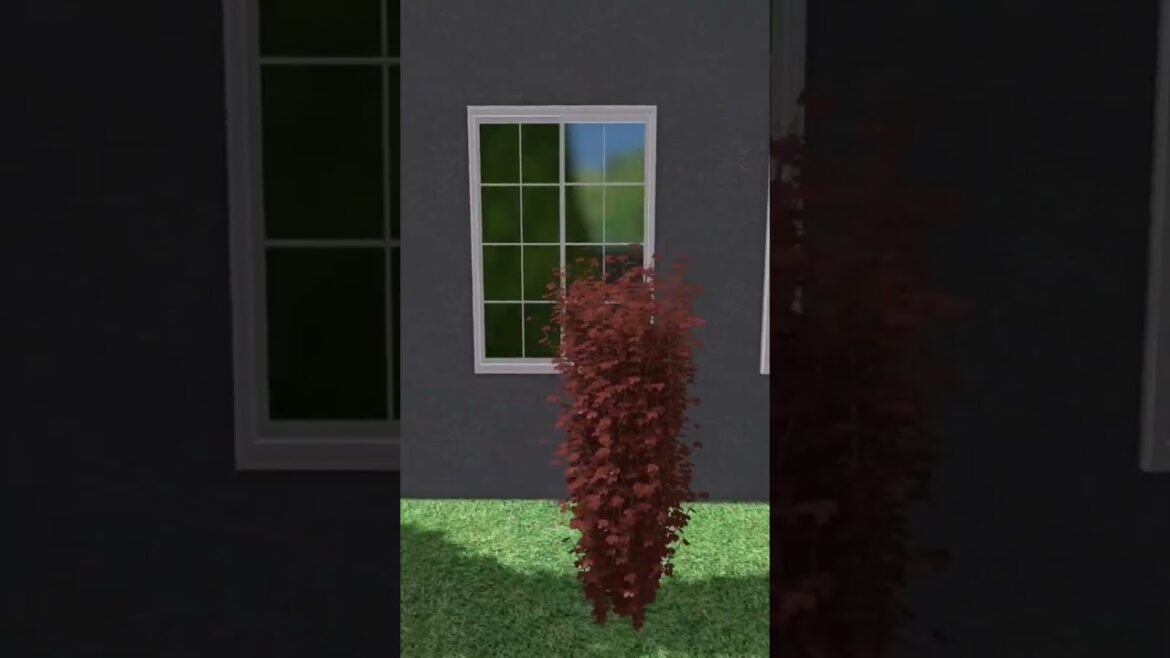 Garden Design #shorts #gardendesign #garden #design #gardendecor