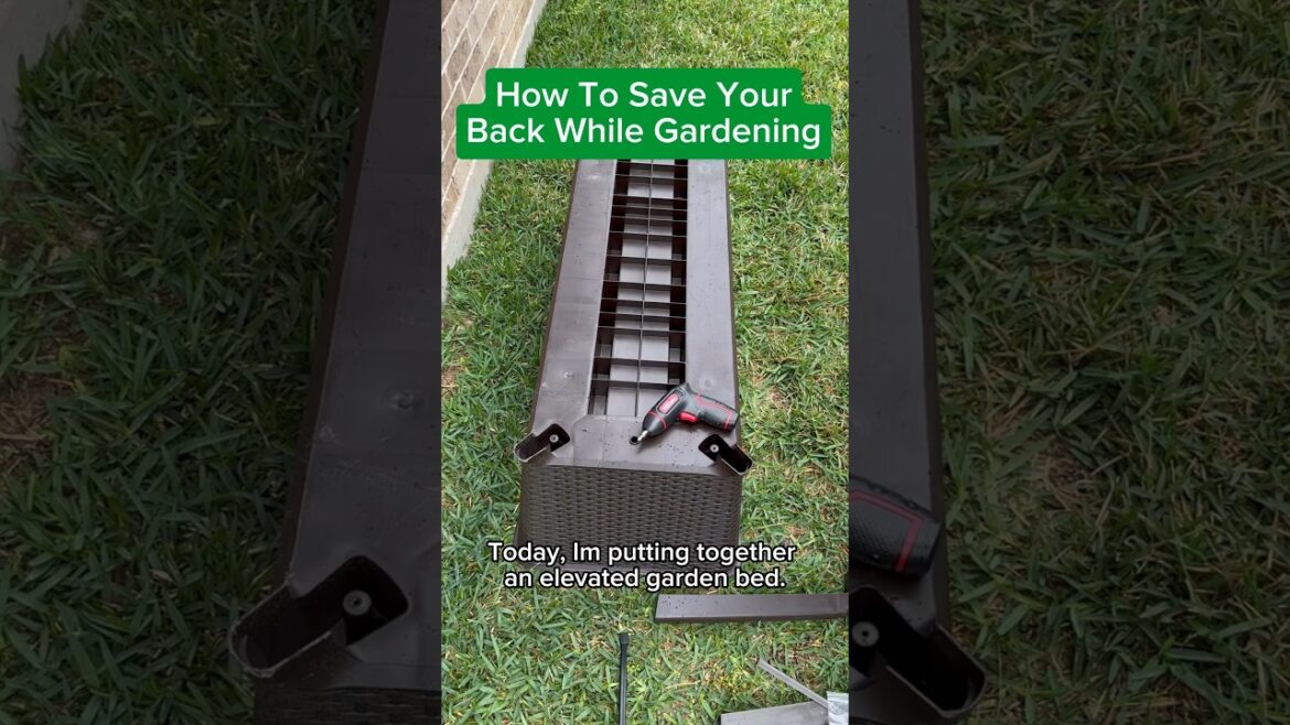 How to Grow a Garden #containergardening #vegetables #gardening #zone9 #shorts #grounding How to Grow a Garden #containergardening #vegetables #gardening #zone9 #shorts #grounding