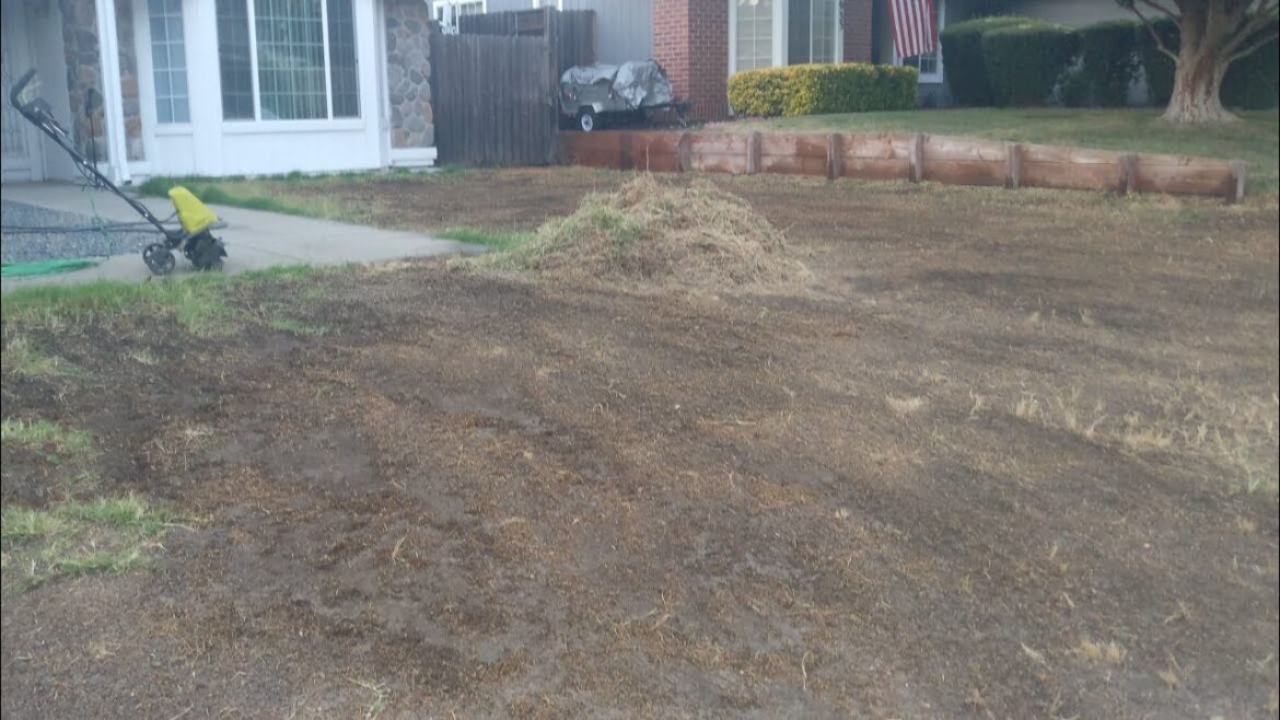 landscape front yard part 1 remove grass