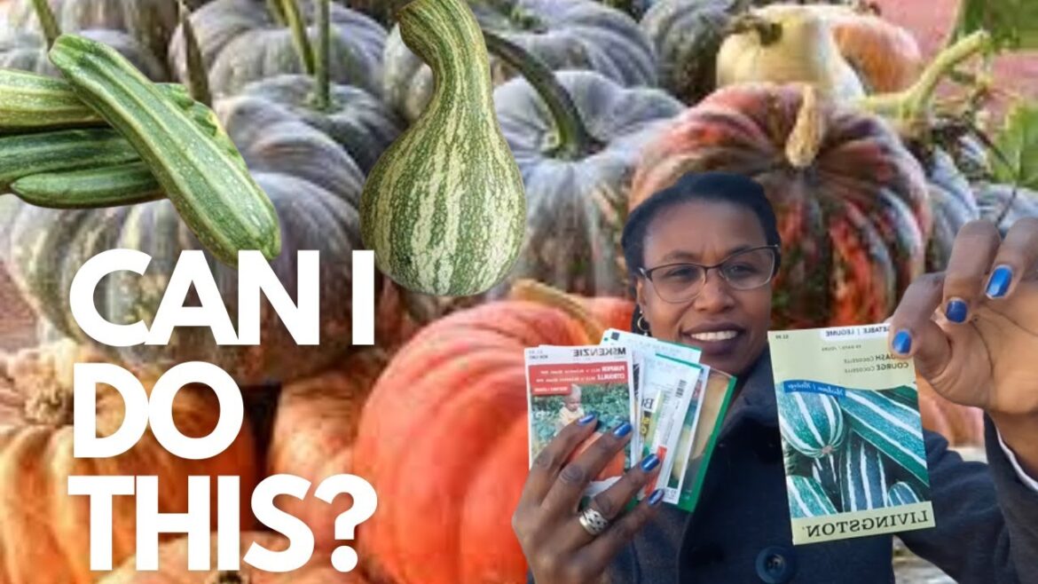 GROWING PUMPKIN AND SQUASH IN A CONTAINER GARDEN| TOP VARIETIES TO GROW  ON THE PATIO |URBAN GARDEN GROWING PUMPKIN AND SQUASH IN A CONTAINER GARDEN| TOP VARIETIES TO GROW  ON THE PATIO |URBAN GARDEN