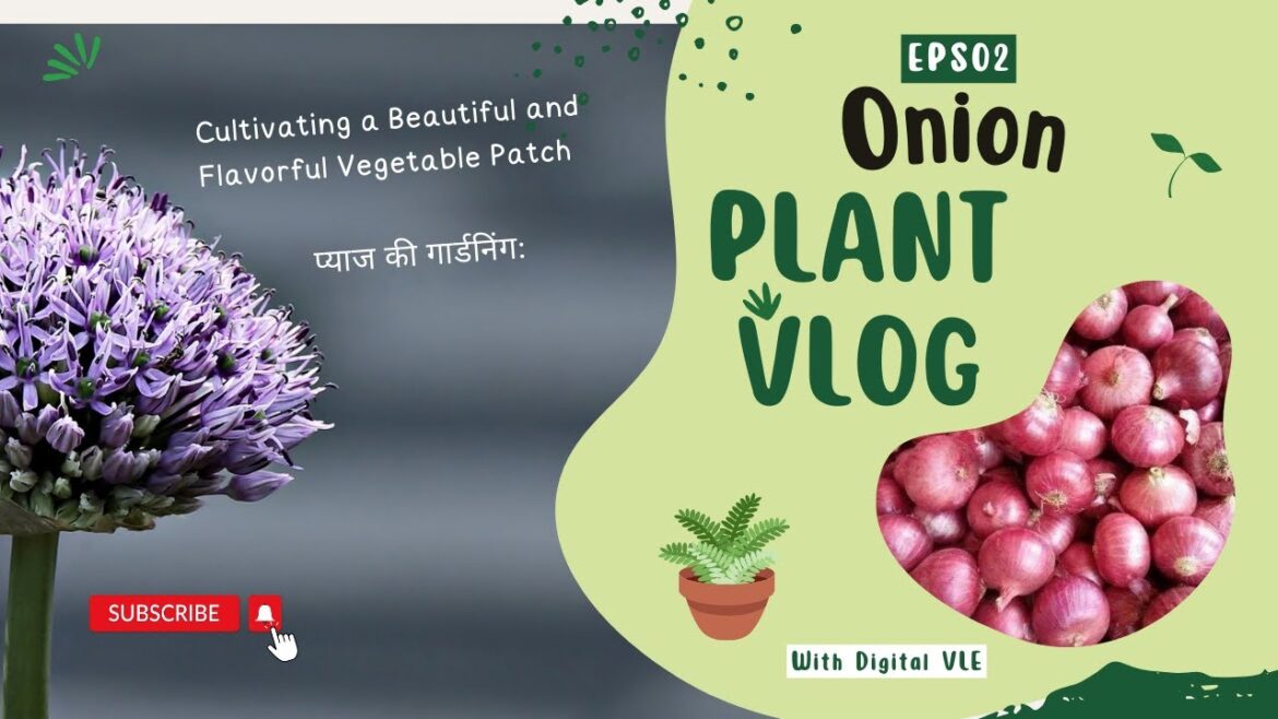 प्याज की गार्डनिंग || Gardening with Onions ||2 प्याज की गार्डनिंग || Gardening with Onions ||2