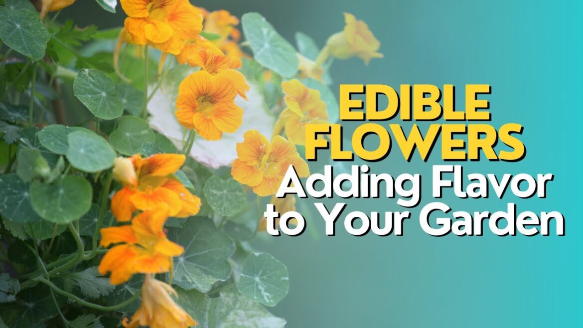 Edible Flowers: Adding Flavor to Your Garden Edible Flowers: Adding Flavor to Your Garden