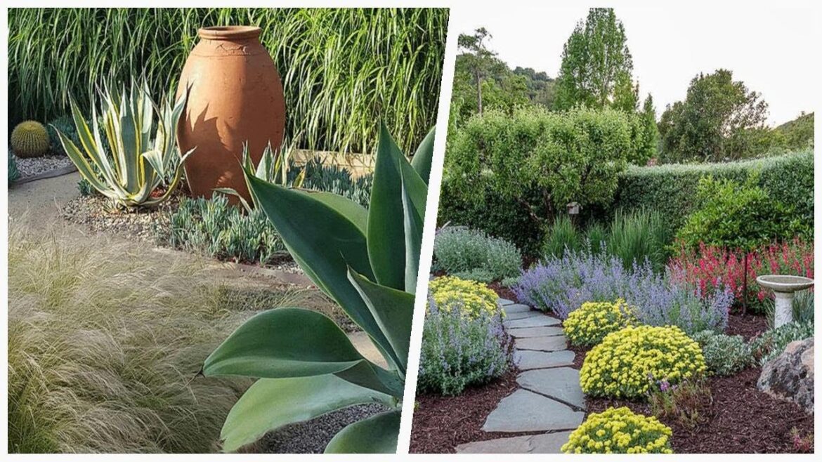 75 Mediterranean Green Landscaping Design Ideas You’ll Love ➤ 75 Mediterranean Green Landscaping Design Ideas You'll Love ➤