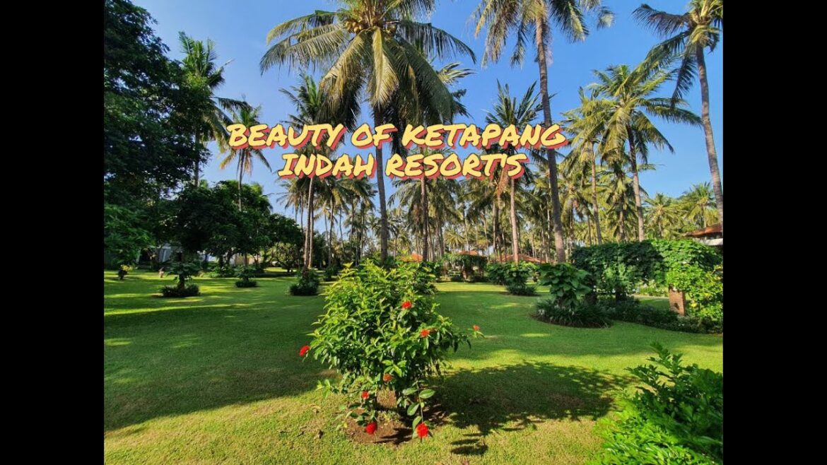 Exploring the Serene Beauty of Ketapang Indah Resort's Gardens 🌺🌿✨