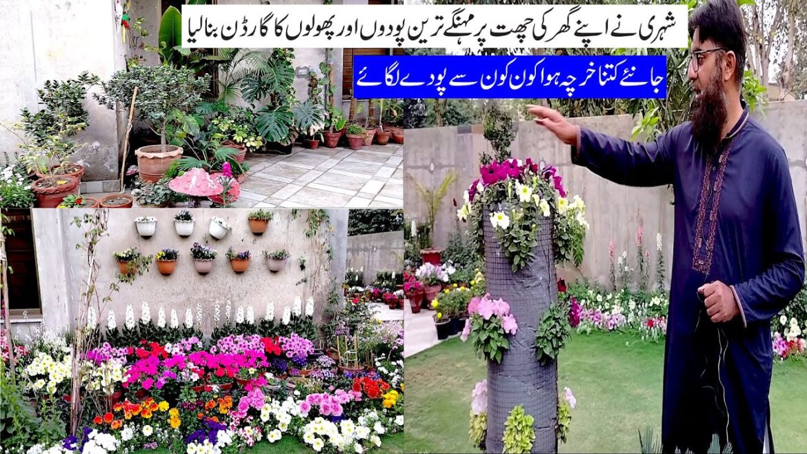 Colorful Garden Decorating Ideas! |Garden Design Ideas on a Budget | Creative and Colorful Flowers Colorful Garden Decorating Ideas! |Garden Design Ideas on a Budget | Creative and Colorful Flowers