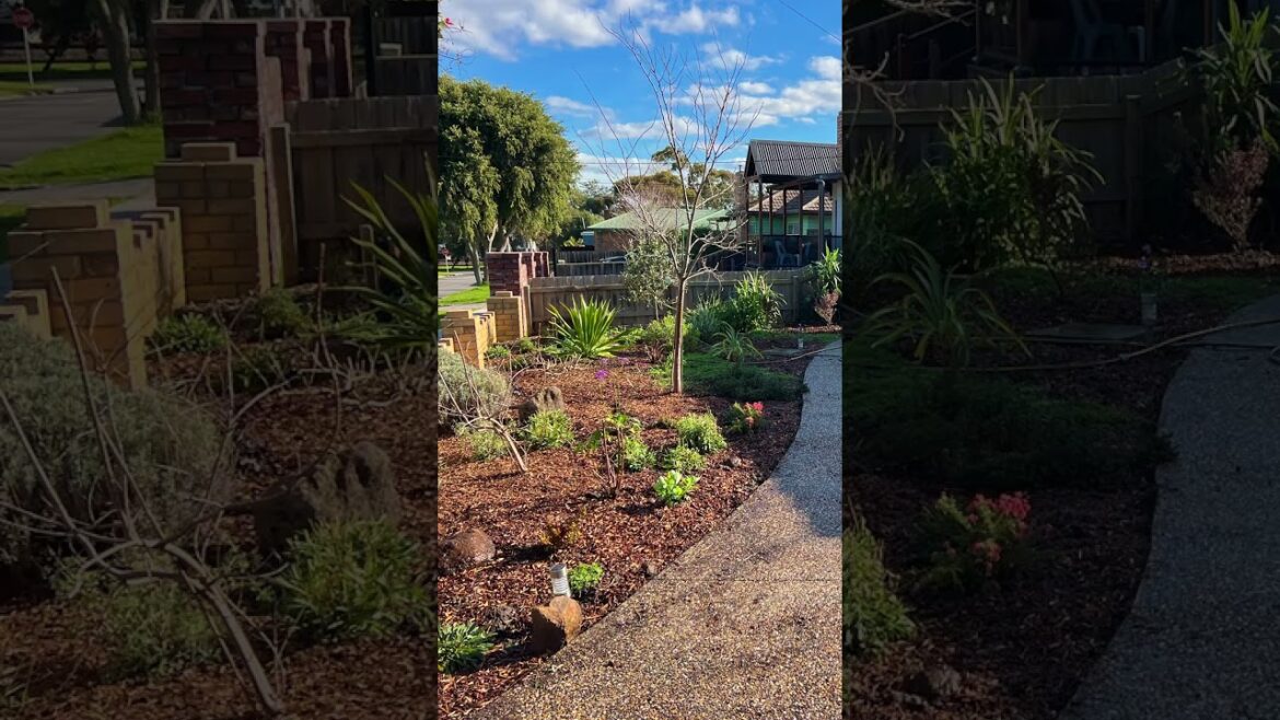 Jocelyn & Stuart’s dreamy garden before and after!π¦β¨ Check it out!π Jocelyn & Stuart's dreamy garden before and after!π¦β¨ Check it out!π