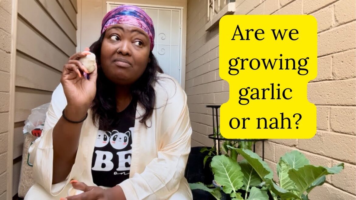 Growing garlic in grow bags | Composting at home Zone 9B #containergardening #growingfood