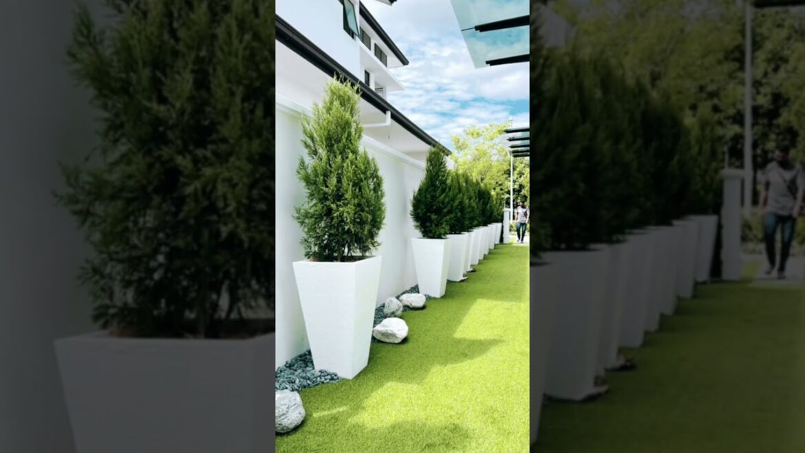 Year-Round Elegance: Modern Garden Design for All Seasons 🍂❄️ | BizBee