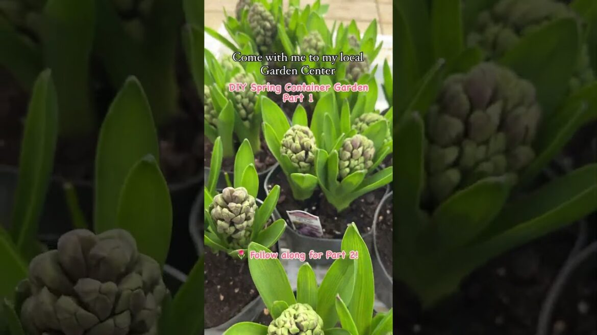 DIY Spring Container Garden #momvlog #gardening #containergardening #shopwithme