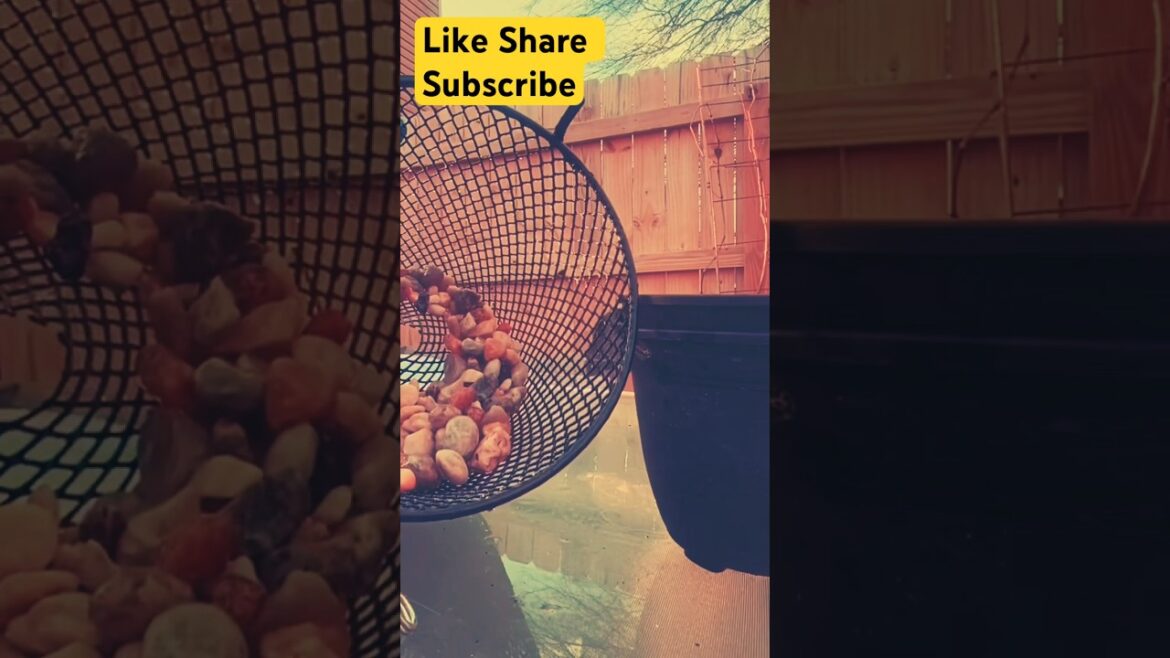 This Is How to Create A Water filter This Is How to Create A Water filter