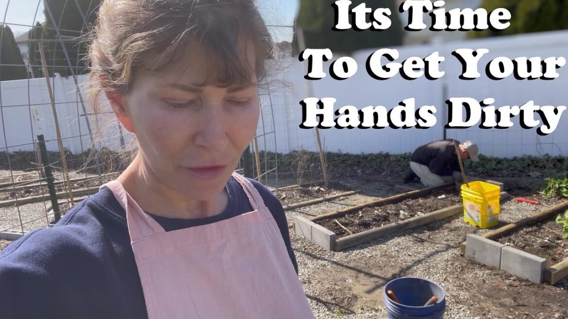 Plans for the Garden and Spring Clean Up Plans for the Garden and Spring Clean Up