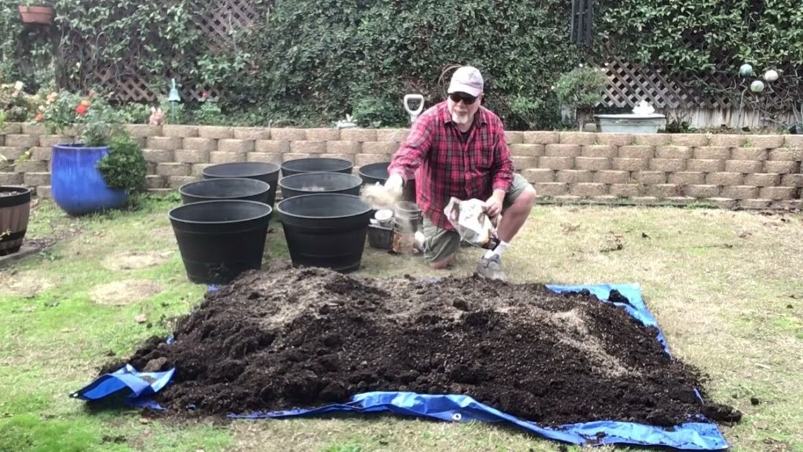 How to revitalize old potting soil |container gardening How to revitalize old potting soil |container gardening