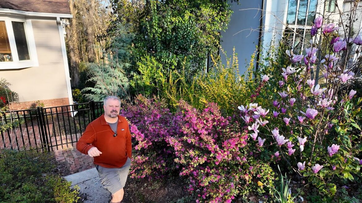 What's Looking Good Around the Neighborhood -- Revisiting Garden